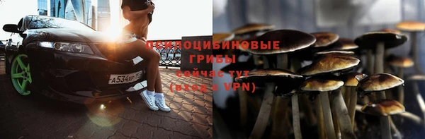 хмурый Протвино