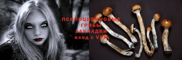 ECSTASY Абинск